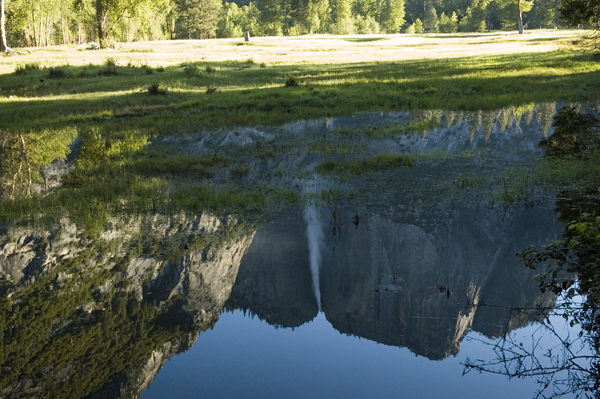 DSC_2546