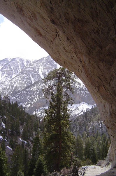 DSC05700