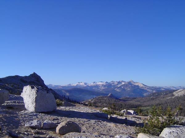 DSC03638