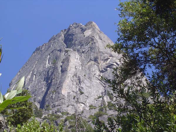 DSC03307
